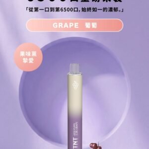 【葡萄冰】TNTVAPE拋棄式6500口拋棄式 一次性小煙