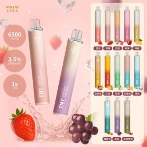 TNT拋棄式6500口一次性小煙 拋棄式果汁推薦