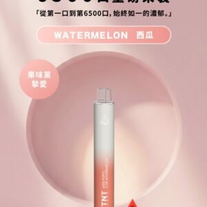 【西瓜】TNT拋棄式6500口一次性小煙 拋棄式果汁推薦