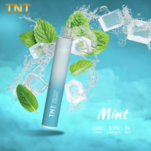 【薄荷】TNTVAPE拋棄式6500口一次性小煙 拋棄式果汁推薦